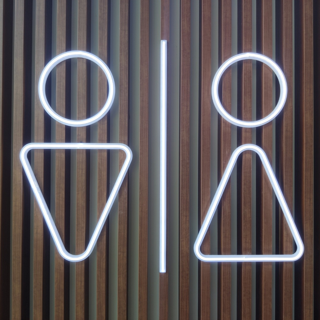 Gender Data Gap